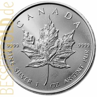 Maple Leaf 1 oz Feinsilber (Kanada) - aktueller Jahrgang - Motivseite 265px