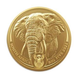 Goldmünze BIG FIVE - ELEPHANT 1 oz Südafrika akt. Jahrgang 