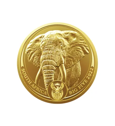 Goldmünze BIG FIVE - ELEPHANT 1 oz Südafrika akt. Jahrgang 