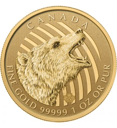 Call of the wild 1 oz Feingold 999,99 im Blister (Kanada) - Grizzly 2016 